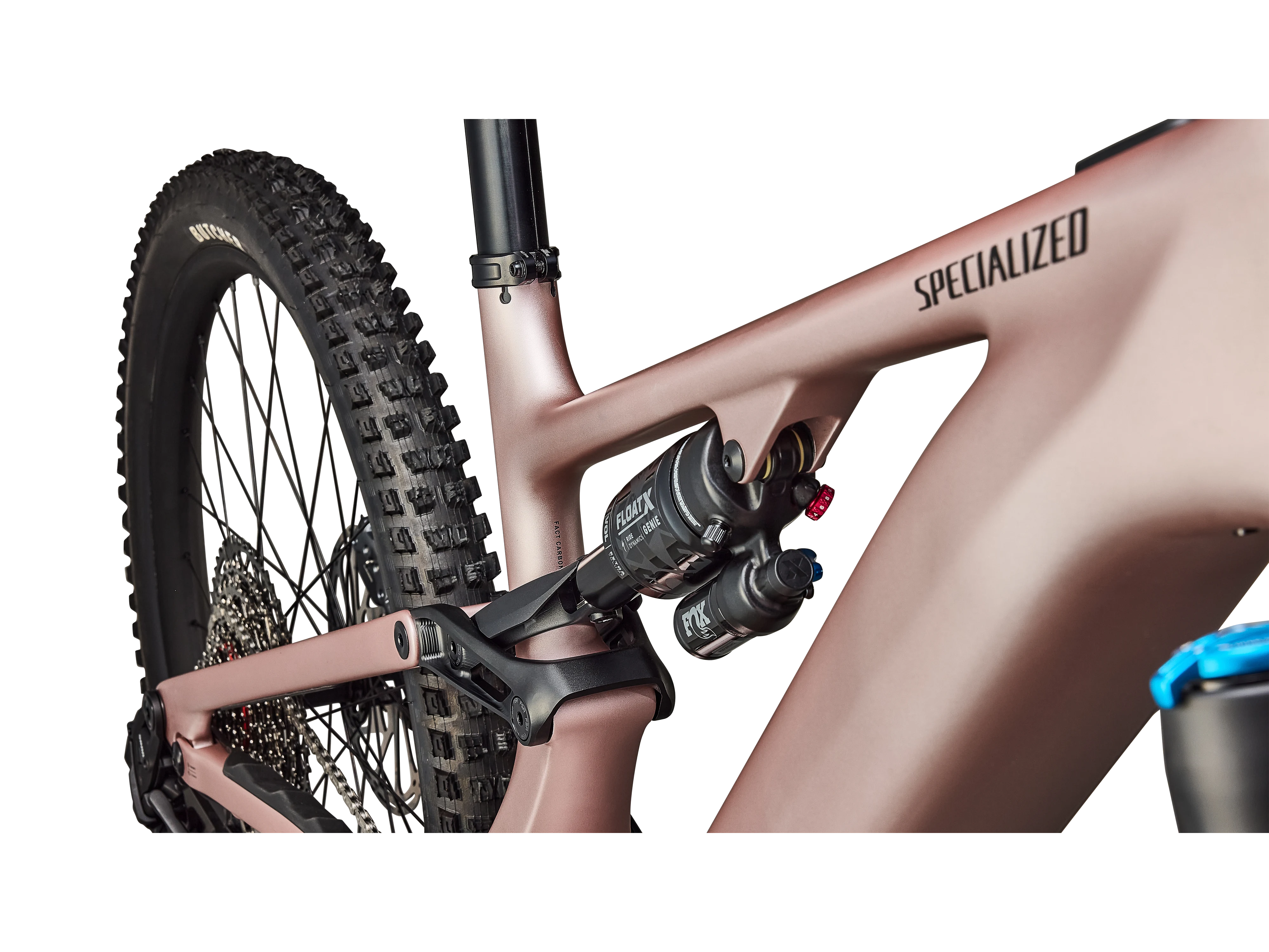 2025 Turbo Levo 4 Comp_Satin Champagne : Metallic Obsidian_Detail3.webp