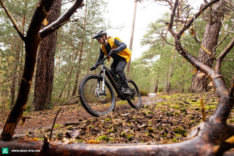 E-bikes