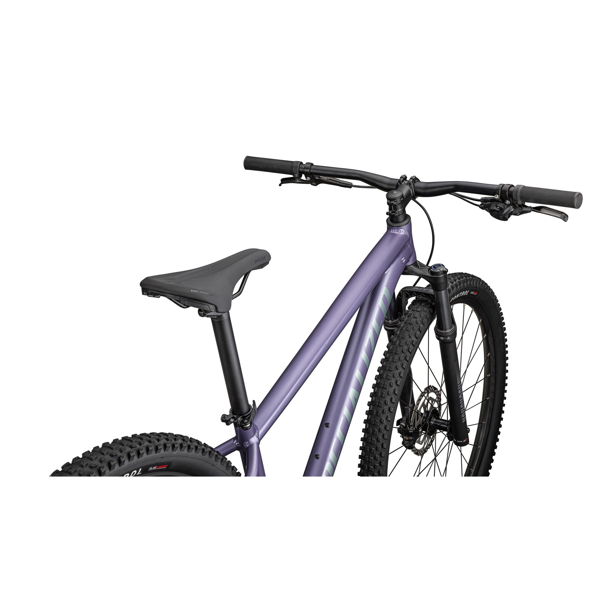 specialized mountainbike rockhopper Rockhopper Comp Gloss Pistachio / White Mountains / XL