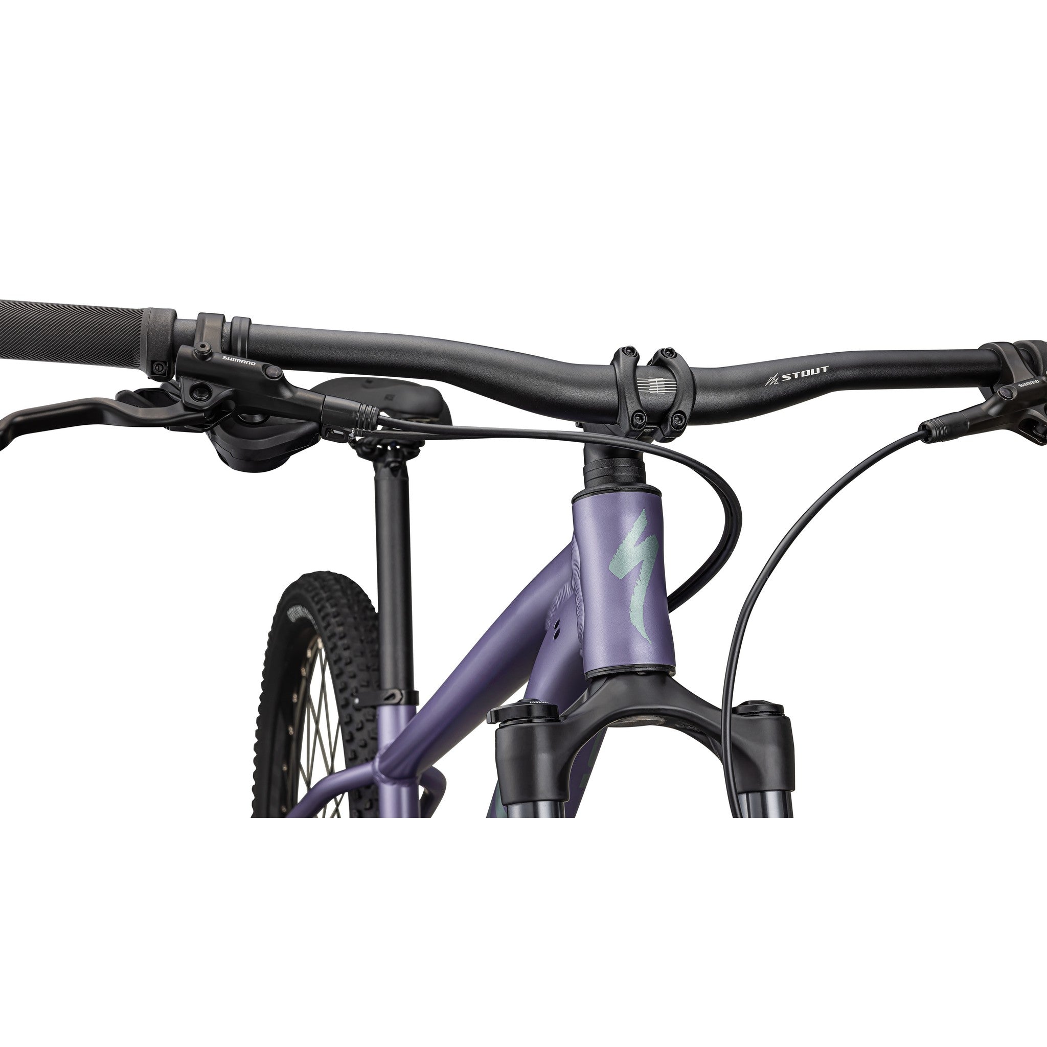 mountainbike rockhopper Rockhopper Comp Gloss Pistachio / White Mountains / XL