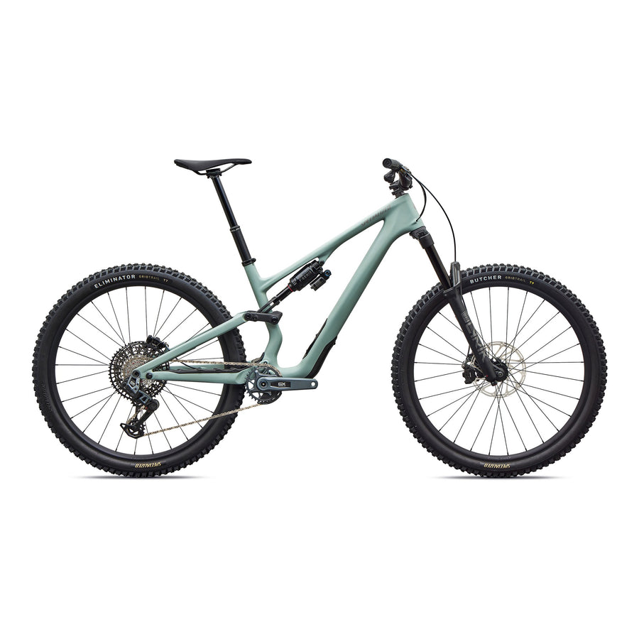 Stumpjumper 15 EVO Expert
