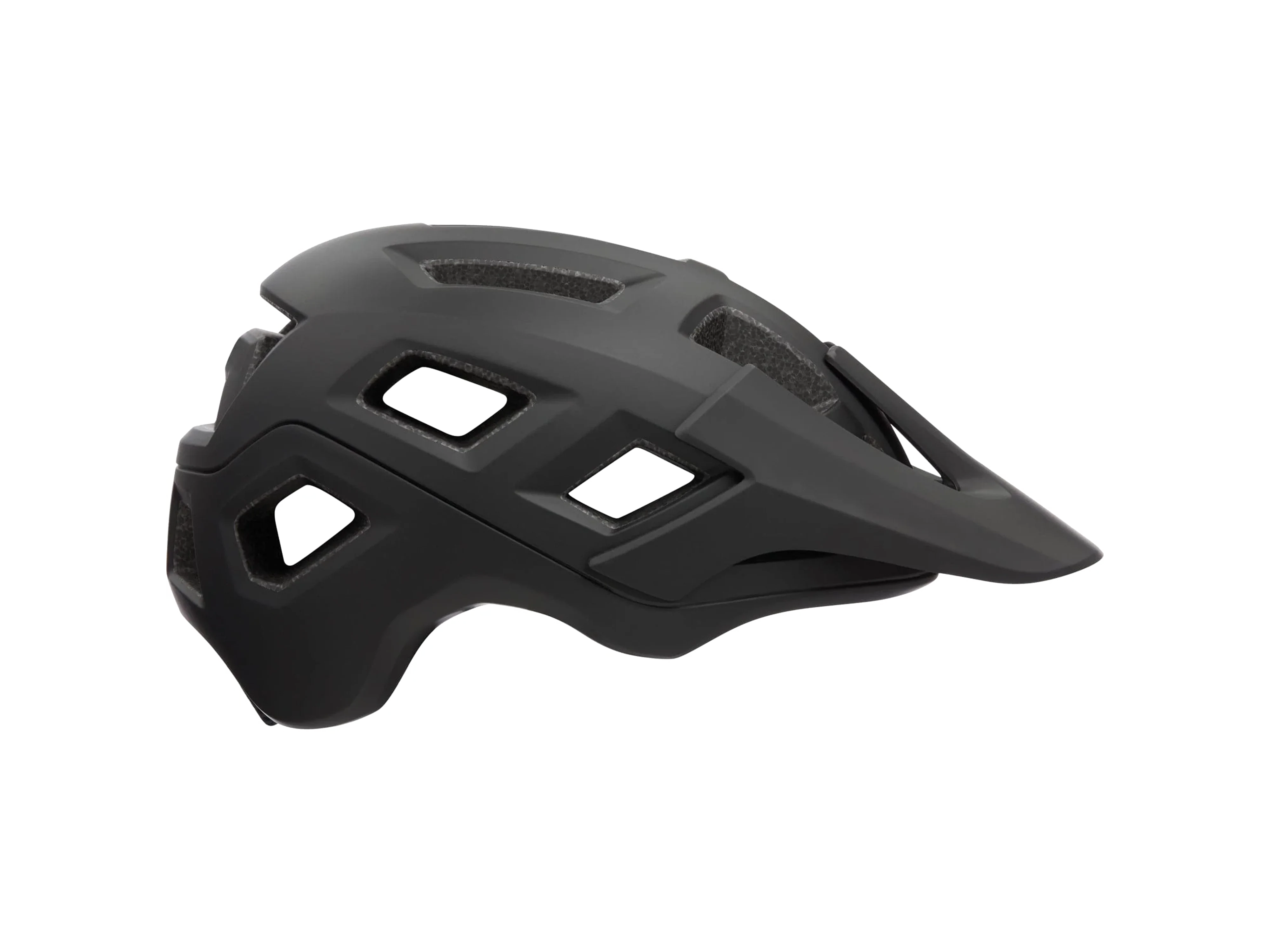 Coyote Mips_ Matte Full Black_Mountain_Main.webp