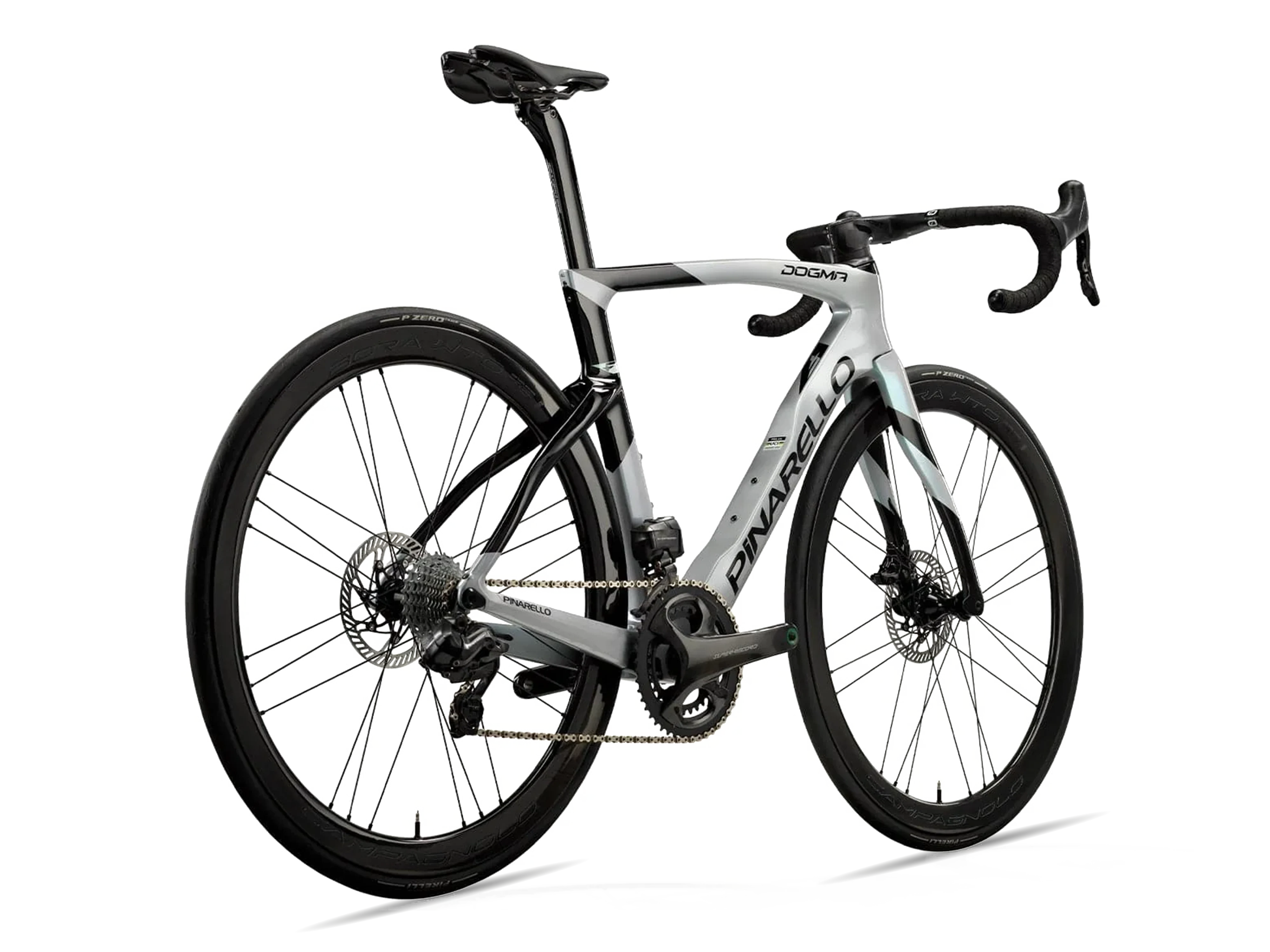 Dogma F Disc Super Record WRL_Road_Speedster Silver_Back.webp