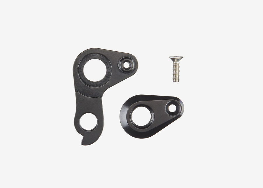 REAR HANGER THRU AXLE DISC AM