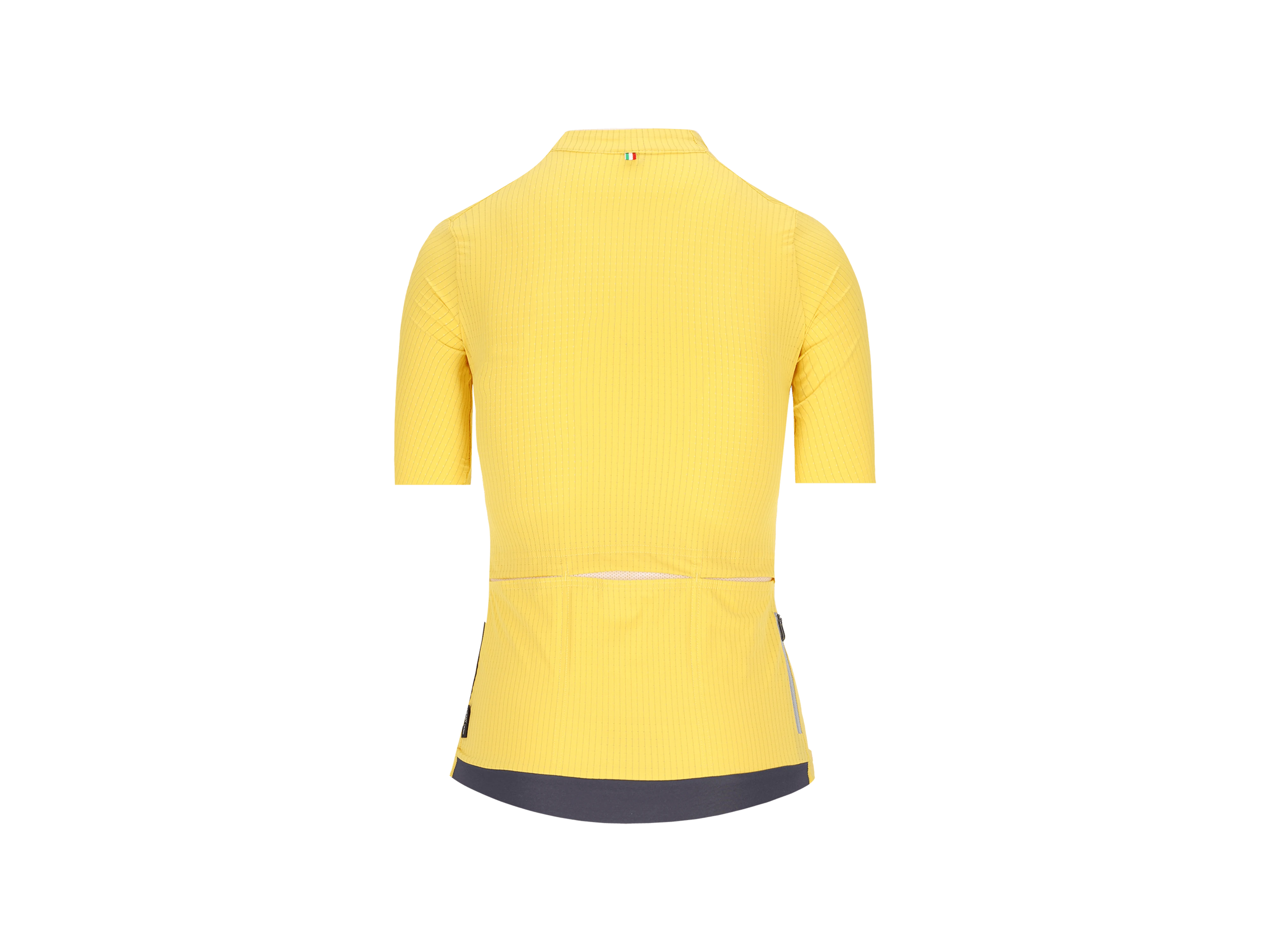 Pinstripe PRO Jersey Women_Naples Yellow_Back.webp