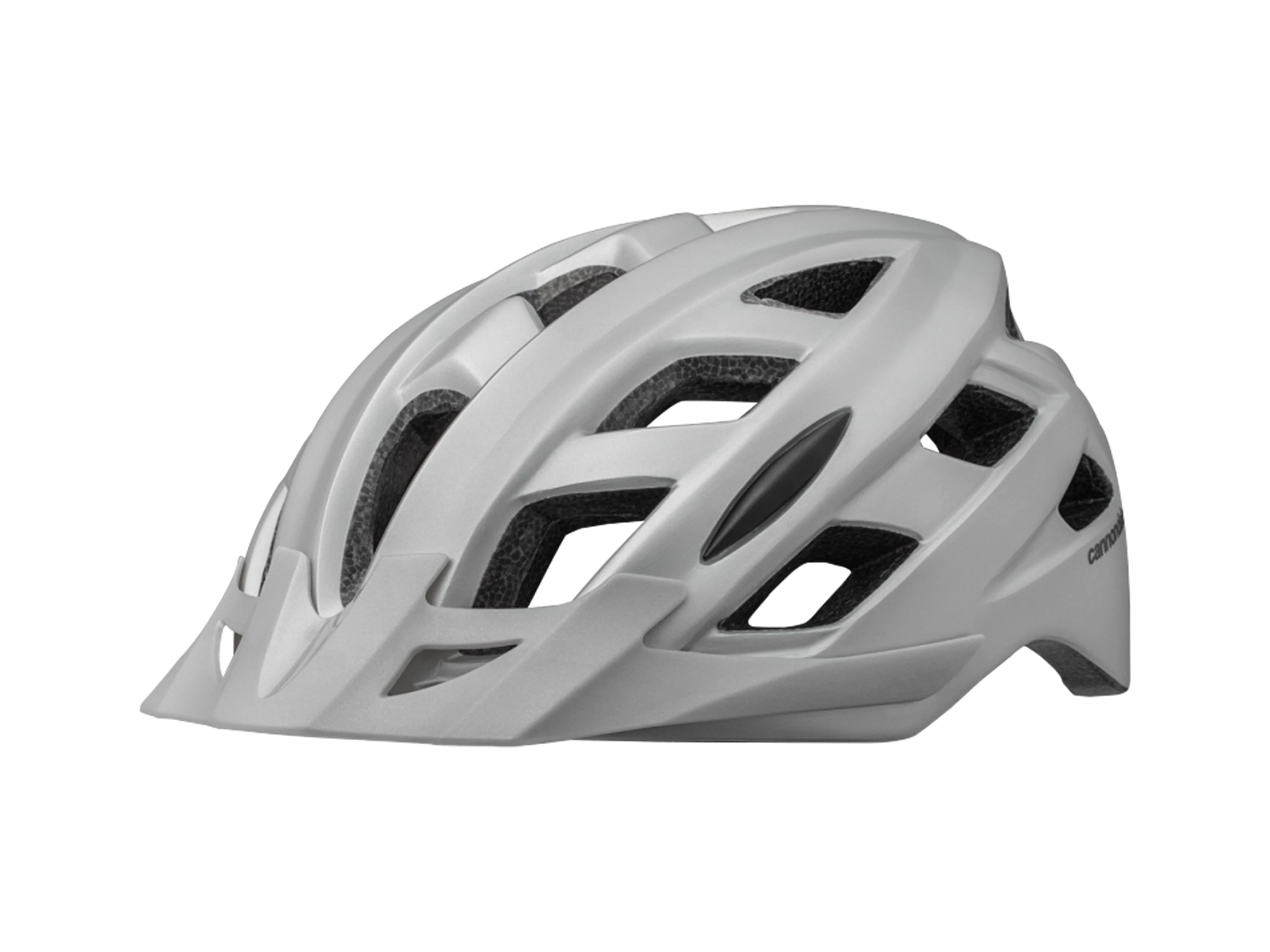 Quick Adult Helmet_Silver_Mountain_Main.webp