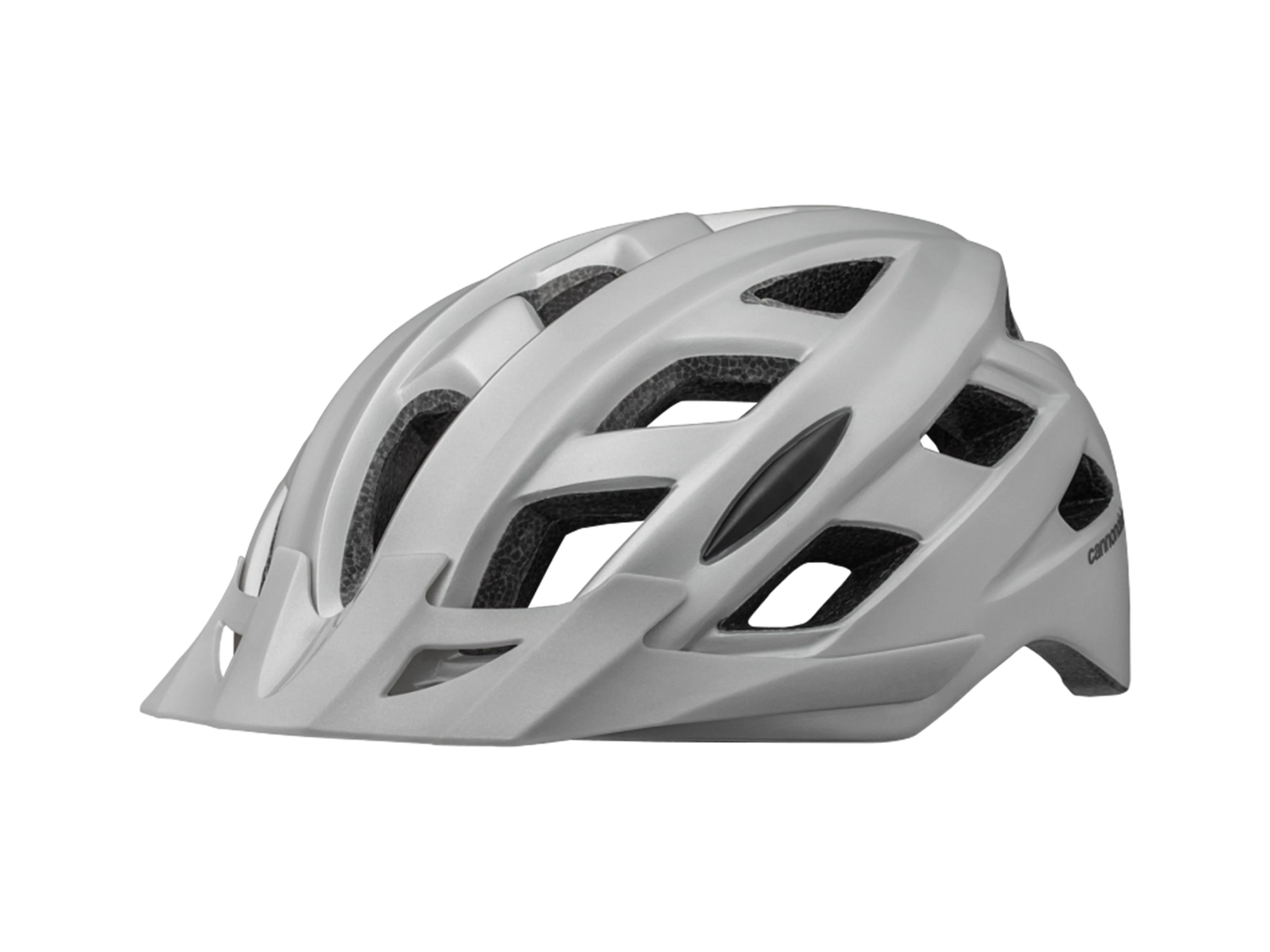 Quick Adult Helmet_Silver_Mountain_Main.webp