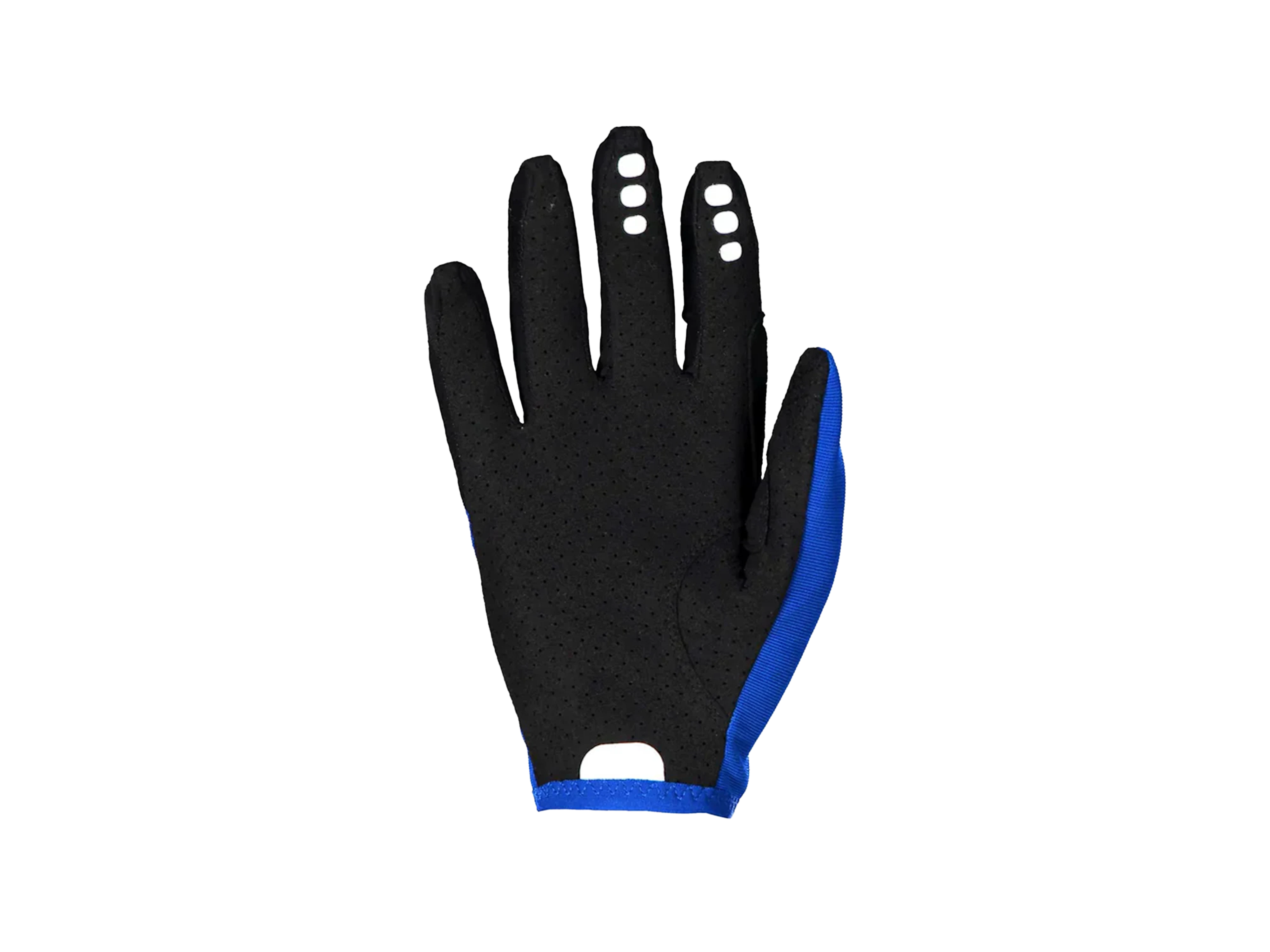 Resistance Enduro Gloves BlackBlue L_Back.webp