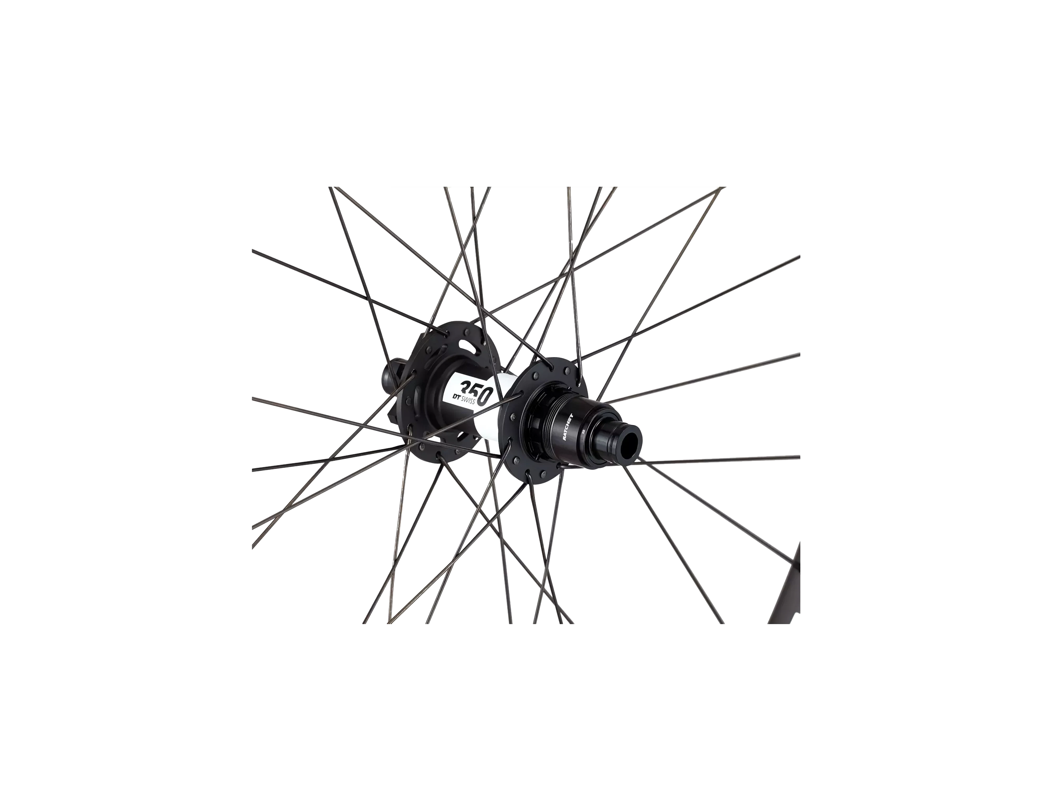 Roval Traverse SL II 350 6B_Detail3.webp