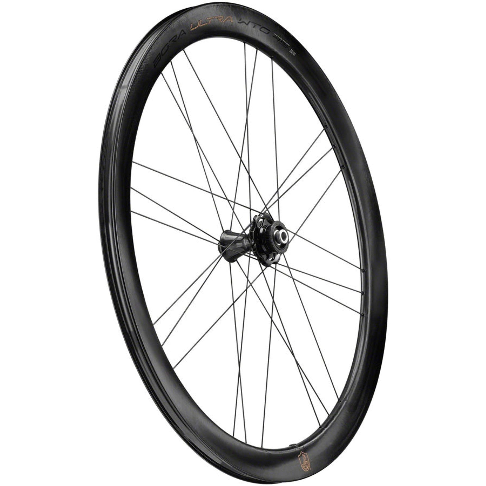 Bora Ultra WTO 45 Front Wheel - 700c, 12 x 100mm, Center-Lock, 2-Way Fit, Gray