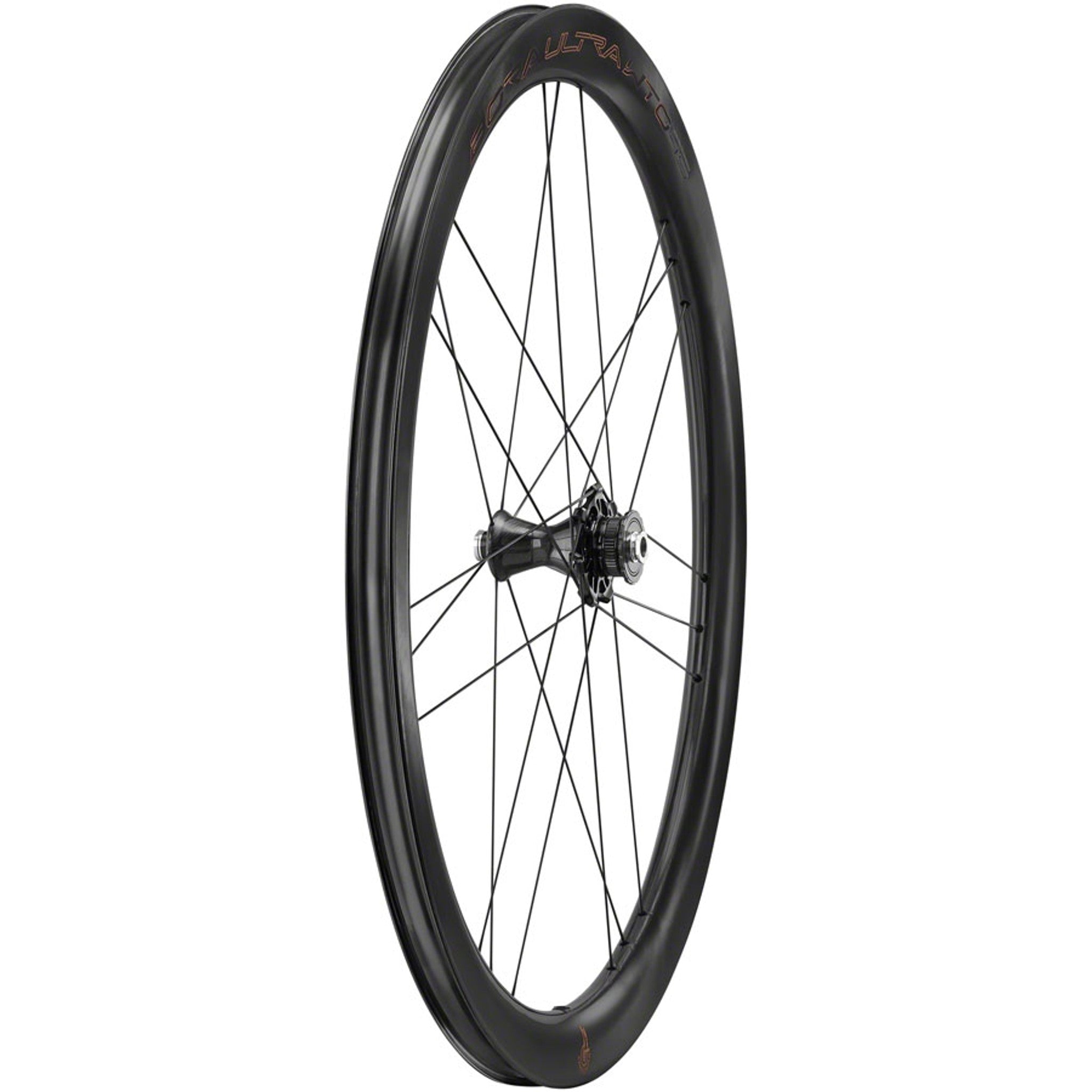 Bora Ultra WTO 45 C23 Front Wheel - 700c, 12 x 100mm, Center-Lock, 2-Way Fit, Carbon
