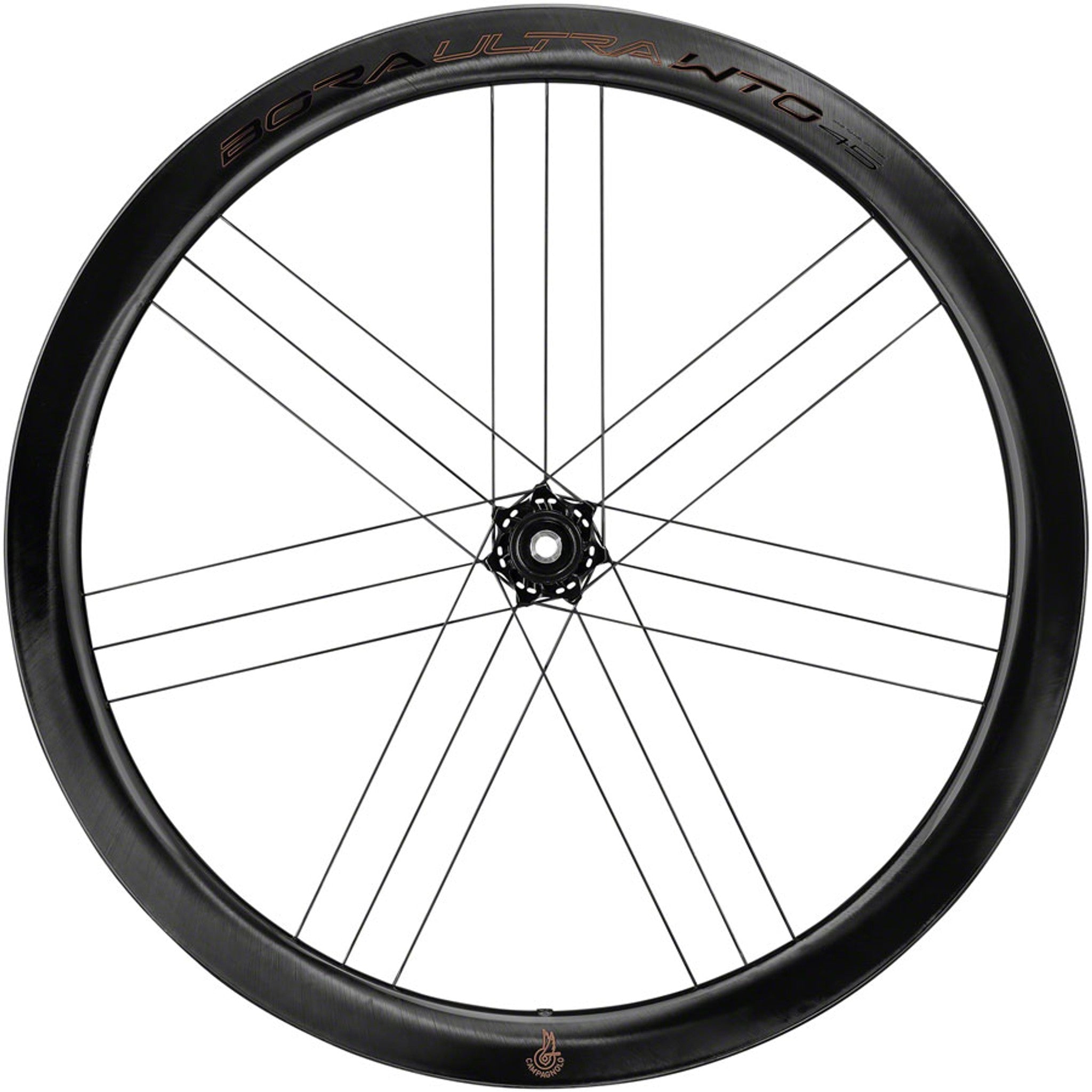 Bora Ultra WTO 45 C23 Front Wheel - 700c, 12 x 100mm, Center-Lock, 2-Way Fit, Carbon